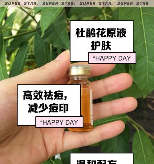 白醋兑水浇杜鹃花的正确方法（养护杜鹃花不再难，这种方法让你的花园更美丽）