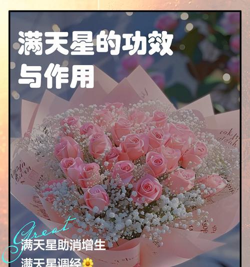 满天星花语与代表意义（探究满天星的花语和象征意义，传达它们所代表的含义）