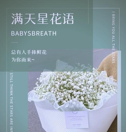 满天星花语与代表意义（探究满天星的花语和象征意义，传达它们所代表的含义）