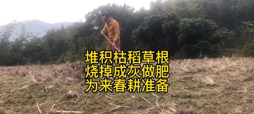 塑料烧成灰，可以做肥料吗？（探讨塑料烧成灰后的应用价值和安全性）