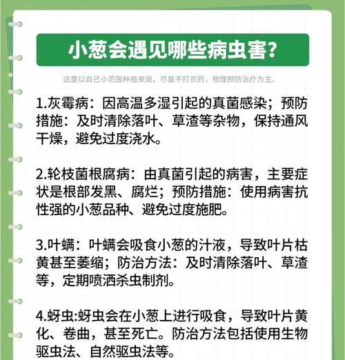 分葱的种植技术与秘诀（轻松掌握分葱的种植时间、方法及技巧）