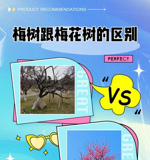 家里也能种梅花树！（打造居家美景，享受花开之美。）