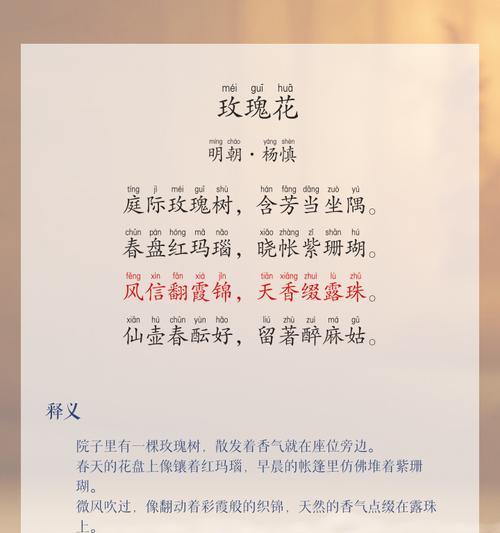 解读16朵玫瑰的花语（16朵玫瑰代表什么？花语大揭秘！）