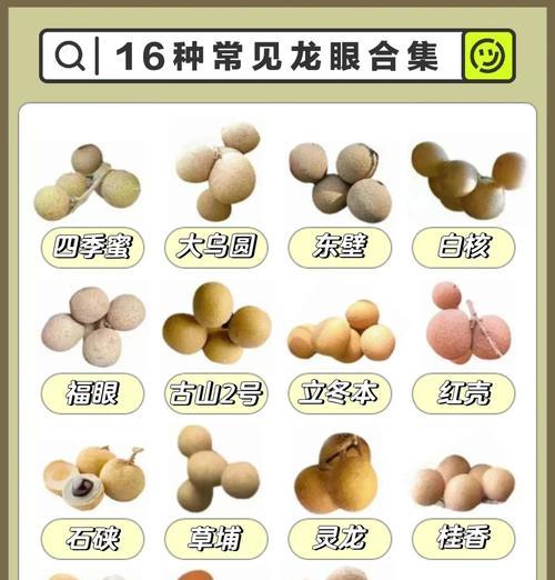 「多久不坏？」探究桂圆的保存时间（桂圆的保鲜技巧与储存方法）
