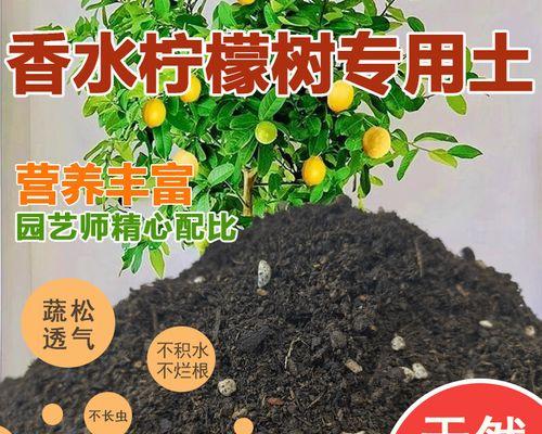 如何为柠檬树施肥？（选择适合柠檬树的肥料，让果实更多、更甜）
