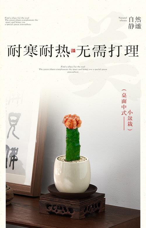 多肉仙人指快速爆盆方法