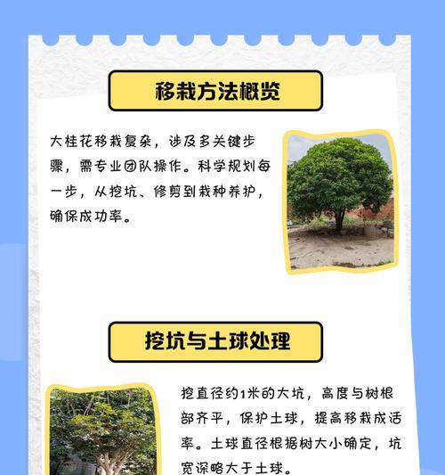 如何正确浇水养护桂花树（浇水方法、养护技巧与注意事项）