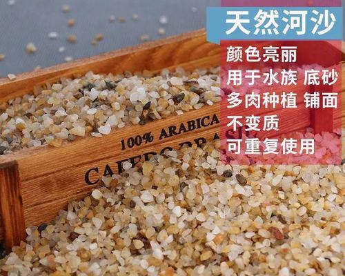 兰花种植，沙子也可以！（在家也可以种出美丽的兰花园，快来尝试吧！）