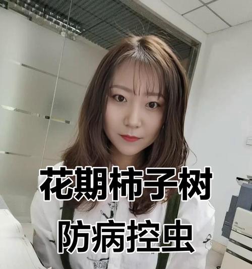 如何防治柿子树病虫害（从栽培管理到化学防治，全方位保护果树生长）