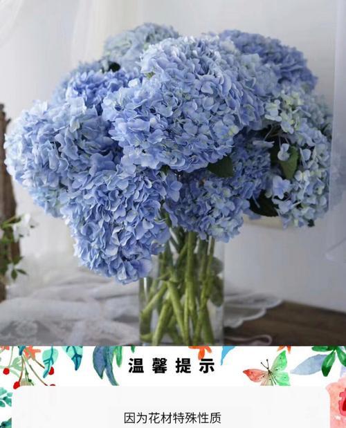 如何养护好绣球插花？（绣球插花养护的技巧和方法）