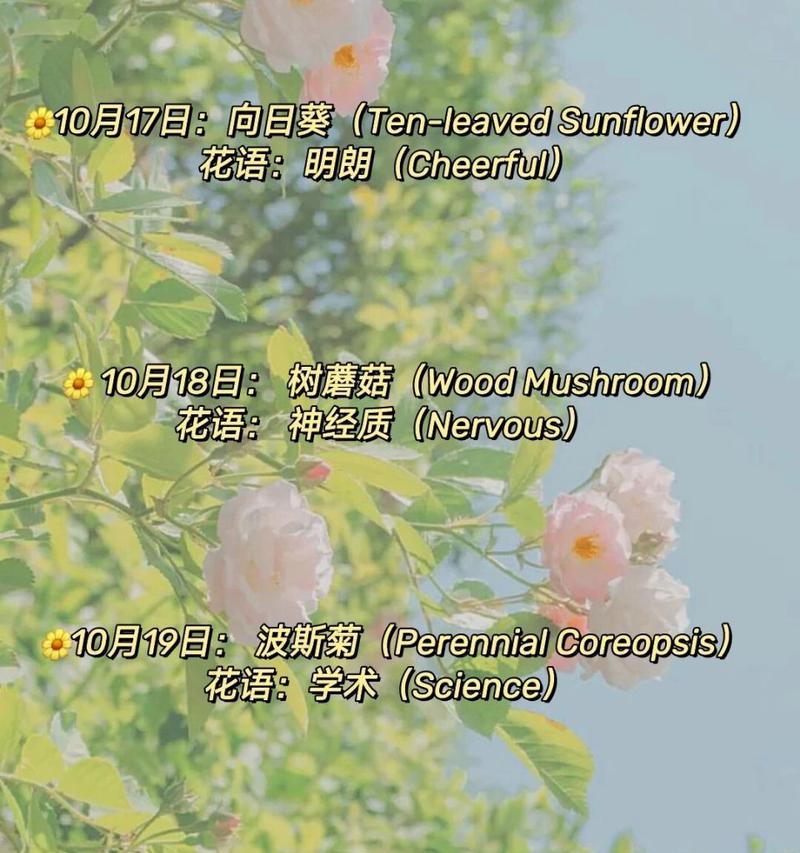 黄瓜是草本植物吗？——揭秘黄瓜的真实身份