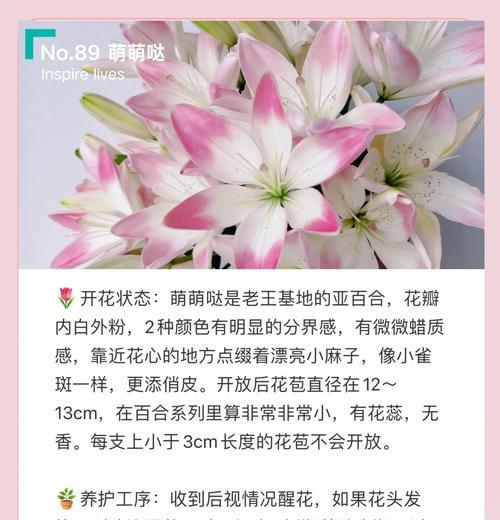 亚百合到底有没有香味？（揭开亚百合香气之谜，科学解析真相）