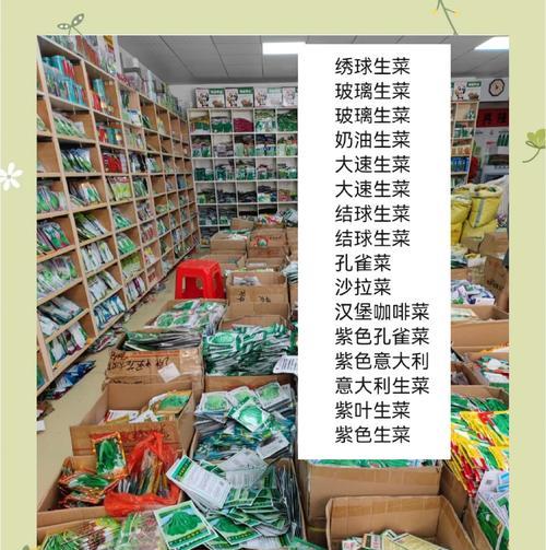 生菜的生长环境与种植条件（培育健康生态的生菜，助力绿色种植产业）