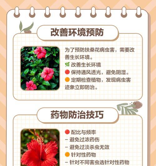 扶桑花修剪指南（详解扶桑花修剪步骤，让花儿美丽茁壮）