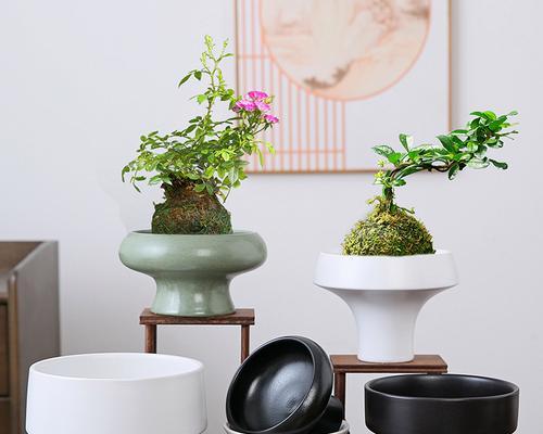 瓷盆种植指南（打造别样花园的小技巧）