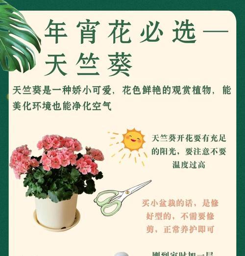 天竺葵扦插时间的最佳选择（掌握正确的扦插时间，让你的天竺葵生长更健康）