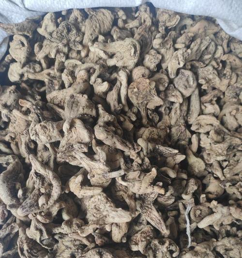 白芨亩产量究竟有多少？（揭秘白芨产量，让你轻松掌握。）