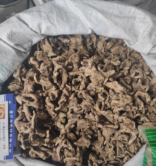 白芨亩产量究竟有多少？（揭秘白芨产量，让你轻松掌握。）