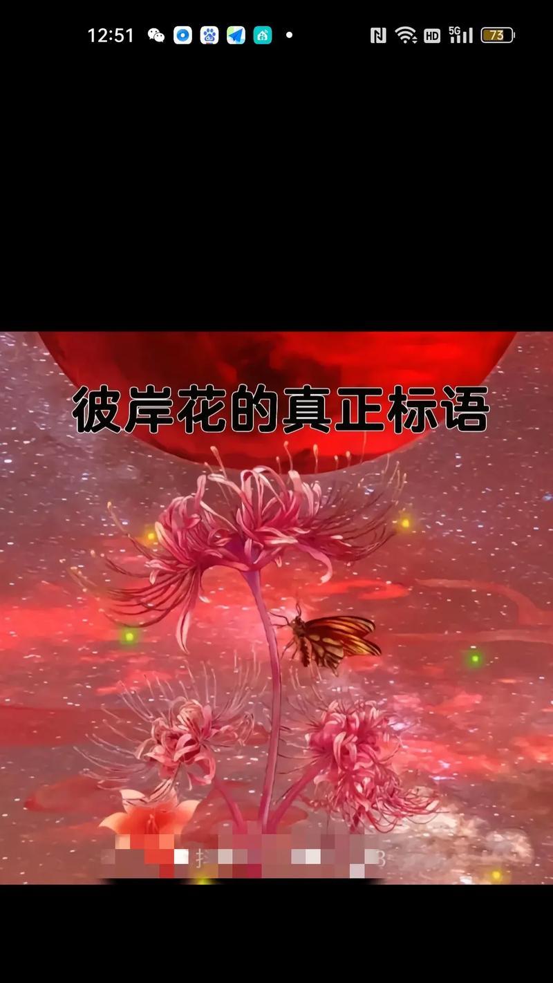 永远幸福——解读那些传递着幸福的花语（从花语角度感受幸福的美好，探寻幸福之源）