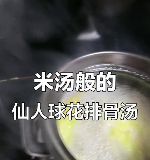 米汤适合浇什么花？（探究米汤浇花的奥秘）