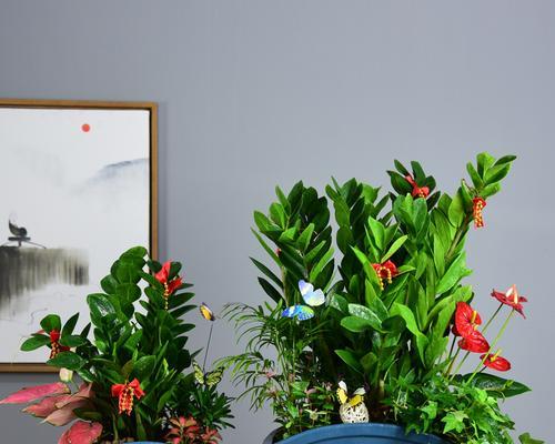 前台绿植装饰之选（为你的前台增添自然气息）