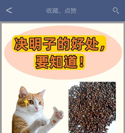 解密决明子产地——你不知道的秘密（寻找决明子的故乡，探究其历史渊源）