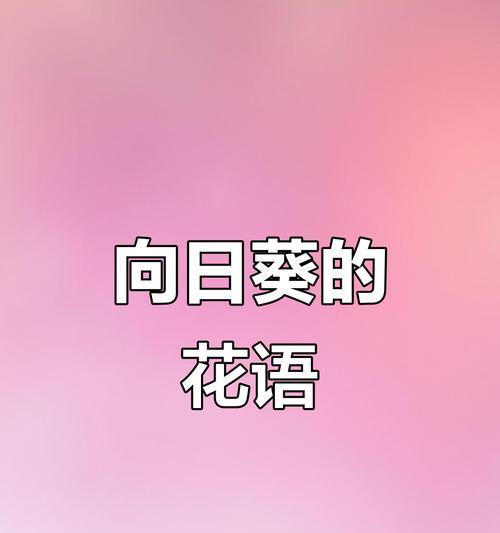 以向日葵花语传递真诚的祝福（送给何种人最合适的礼物）