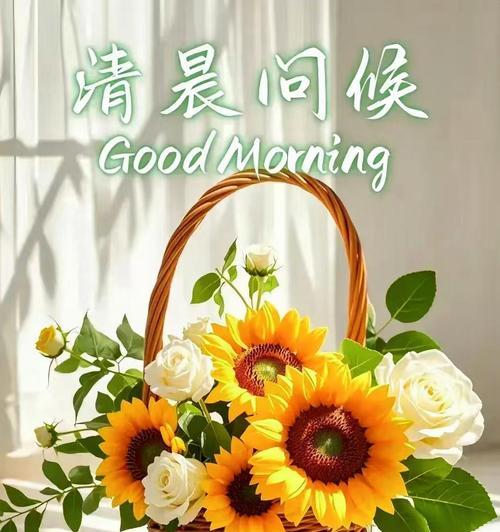 以向日葵花语传递真诚的祝福（送给何种人最合适的礼物）
