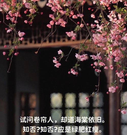 垂丝海棠花语——美丽的含蓄之语（秋意渐浓）