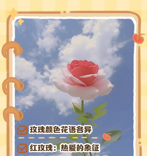 世界花海中的玫瑰花（探索玫瑰花的情感世界）