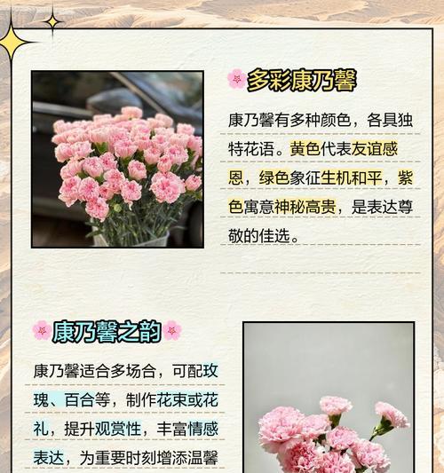康乃馨花语揭秘——每朵都代表着什么（康乃馨的花语深意与寓意）