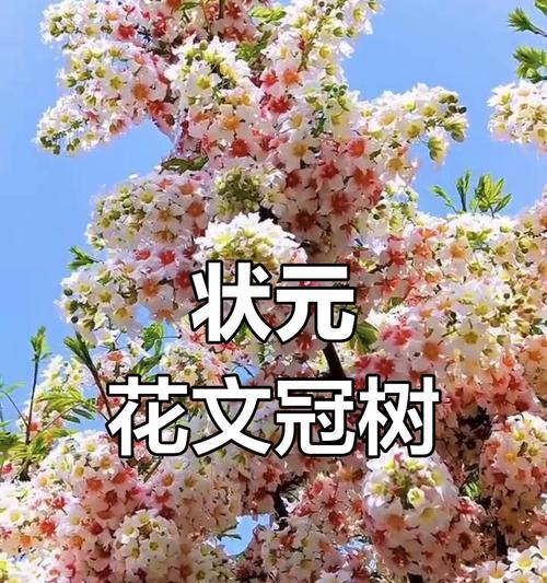 半冠树（探索半冠树的生态特点和适应性）