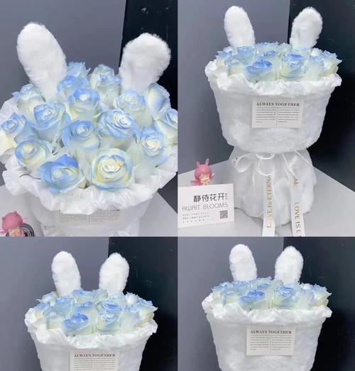 白玫瑰（传递爱与关怀的美丽花朵）