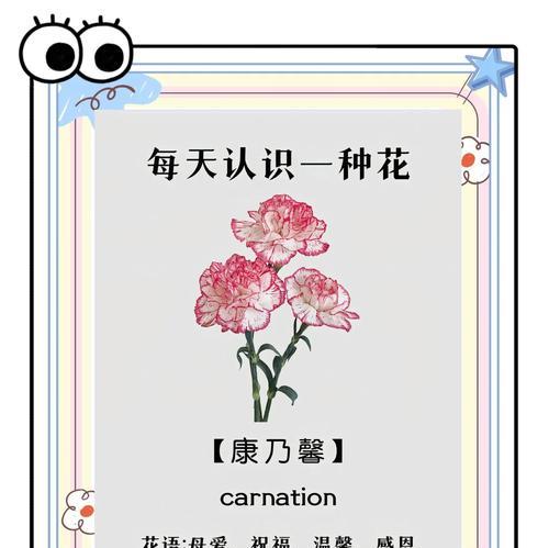 康乃馨的象征意义与深远影响（康乃馨）