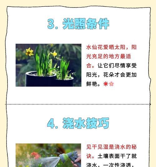 水仙花的美丽寓意与内涵（神秘之花的精神象征与人生哲理）