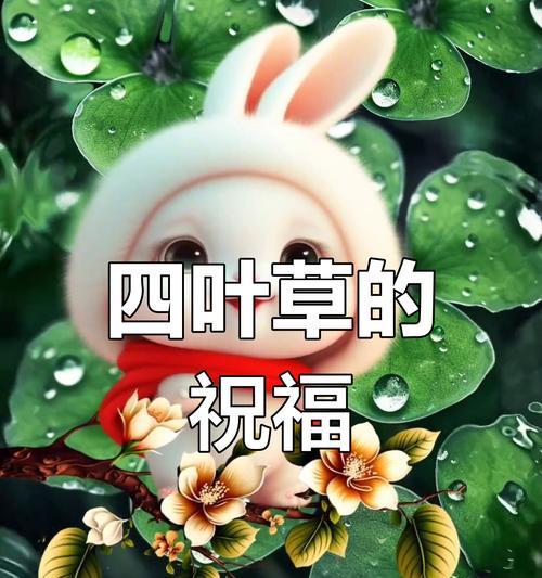 四叶草的爱情寓意（四叶草之爱）