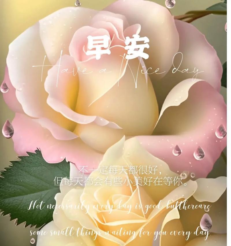 白百合花语的意义与传承（探寻白百合的深层内涵）