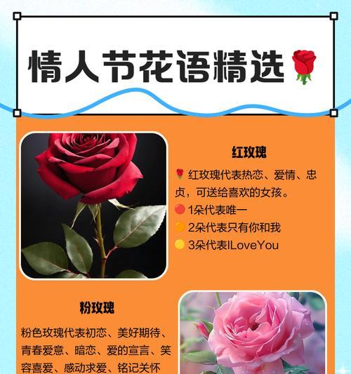 情人草的花语和寓意（传递爱意的纯真之花）