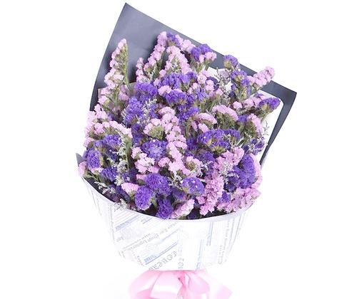 情人草的花语和寓意（传递爱意的纯真之花）