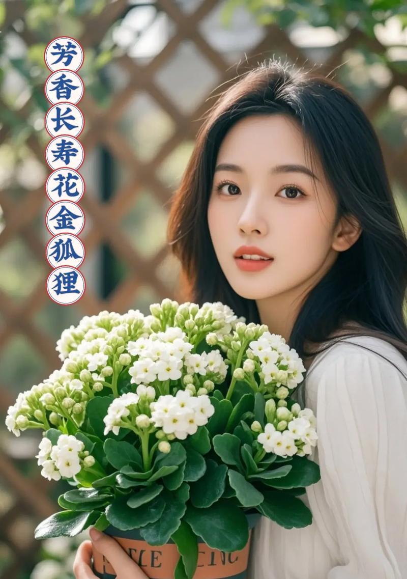 用百合花传递自信的力量（探索百合花背后的自信密码）
