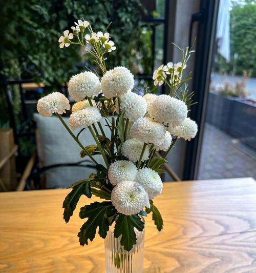 花开宽恕，代表原谅的美丽之花（用花朵的语言传递原谅的力量）
