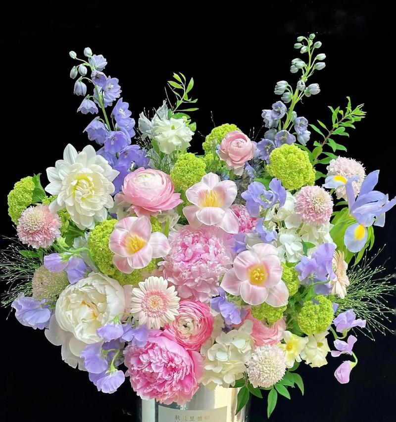 花开宽恕，代表原谅的美丽之花（用花朵的语言传递原谅的力量）