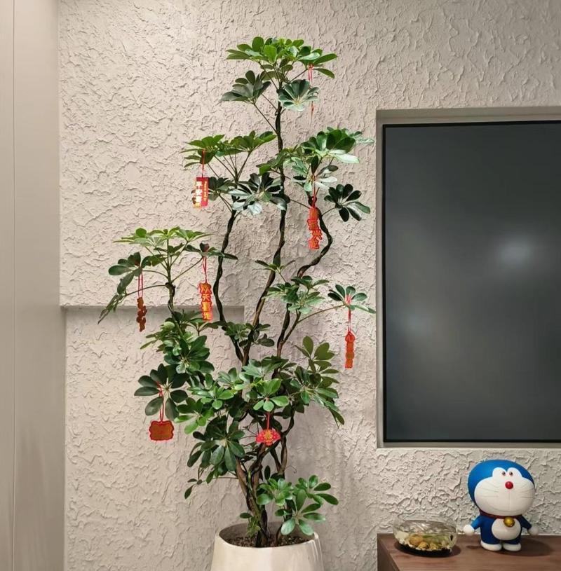 高雅之美（品味与艺术的完美结合）