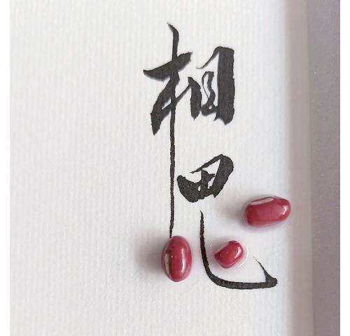 红豆（红豆代表的爱情寓意与深刻内涵）